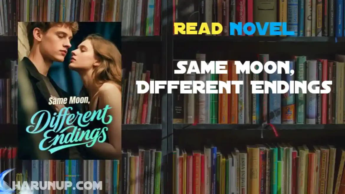 Same Moon, Different Endings Novel