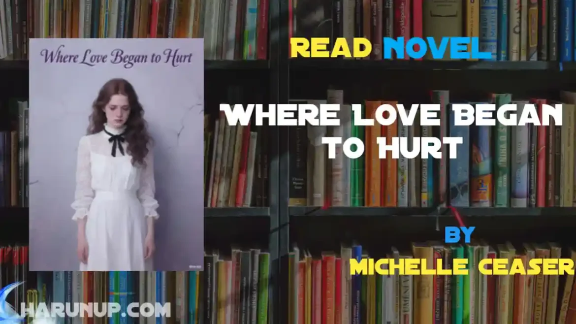 Where Love Began to Hurt Novel