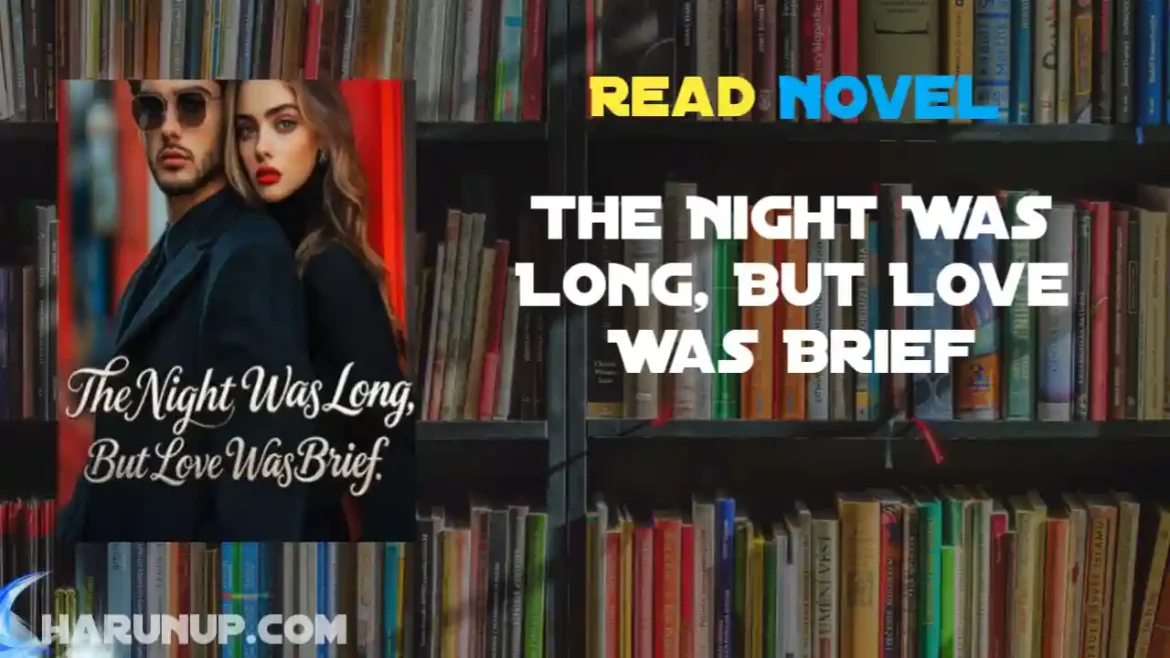 The Night Was Long, But Love Was Brief Novel