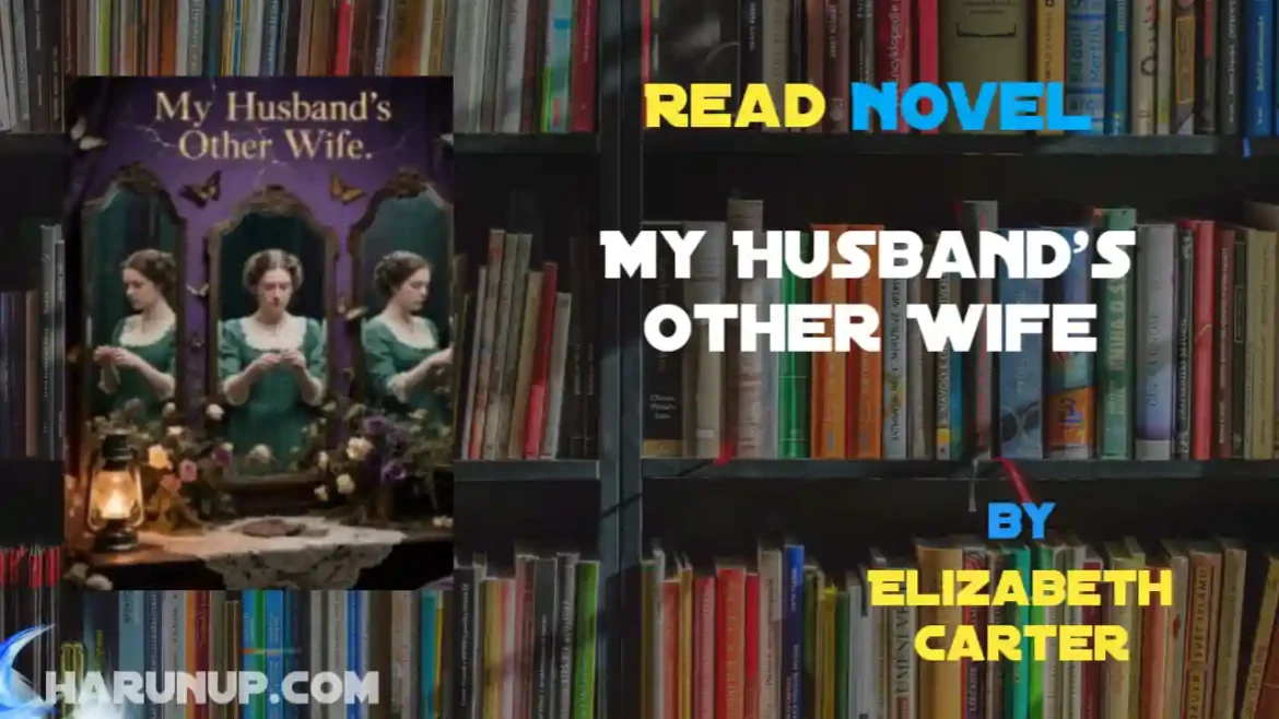 My Husband's Other Wife Novel