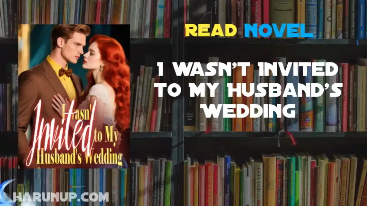 I wasn't Invited to My Husband's Wedding Novel