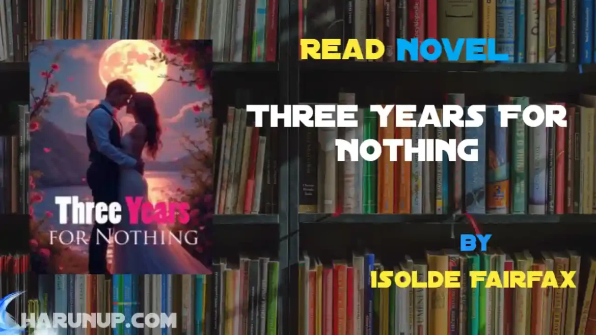 Three Years For Nothing Novel