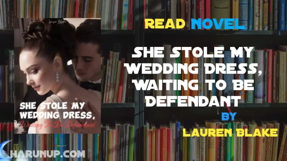 She Stole My Wedding Dress, Waiting to Be Defendant Novel