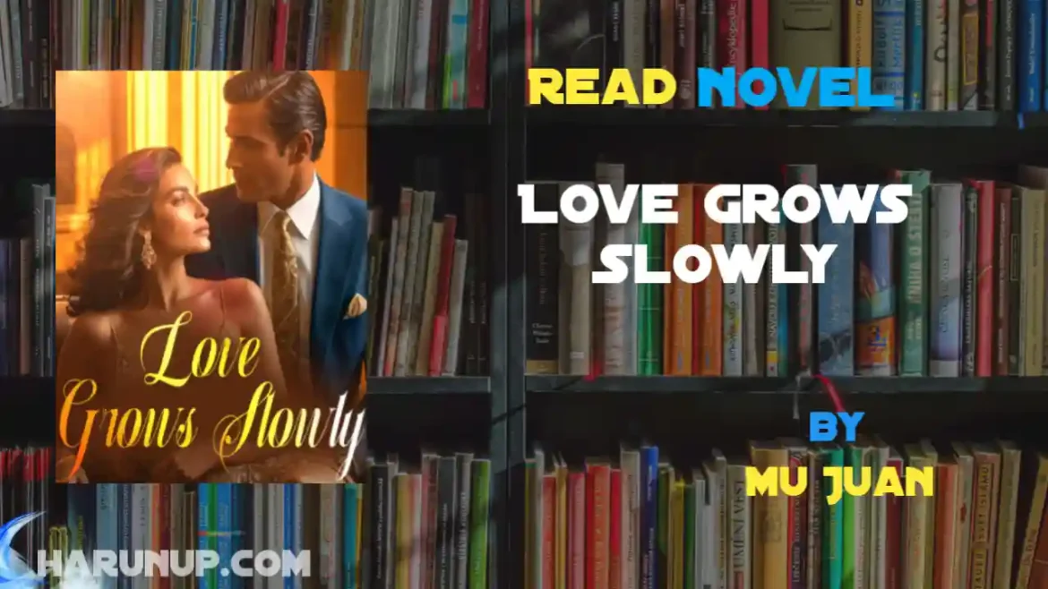 Love Grows Slowly Novel