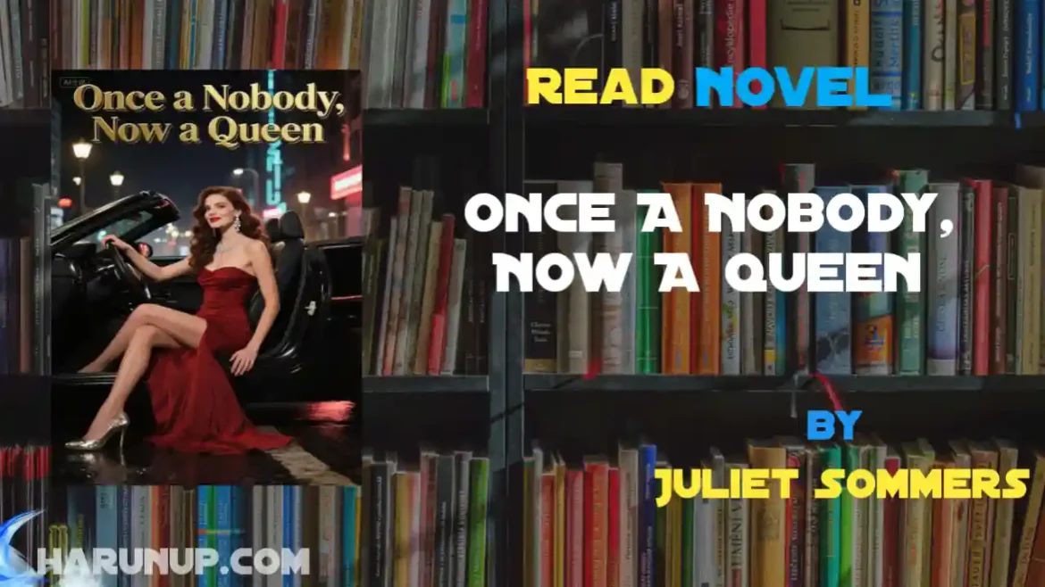 Once A Nobody, Now A Queen Novel