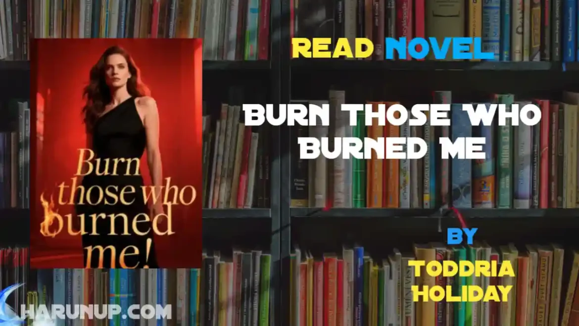 Burn Those Who Burned Me Novel