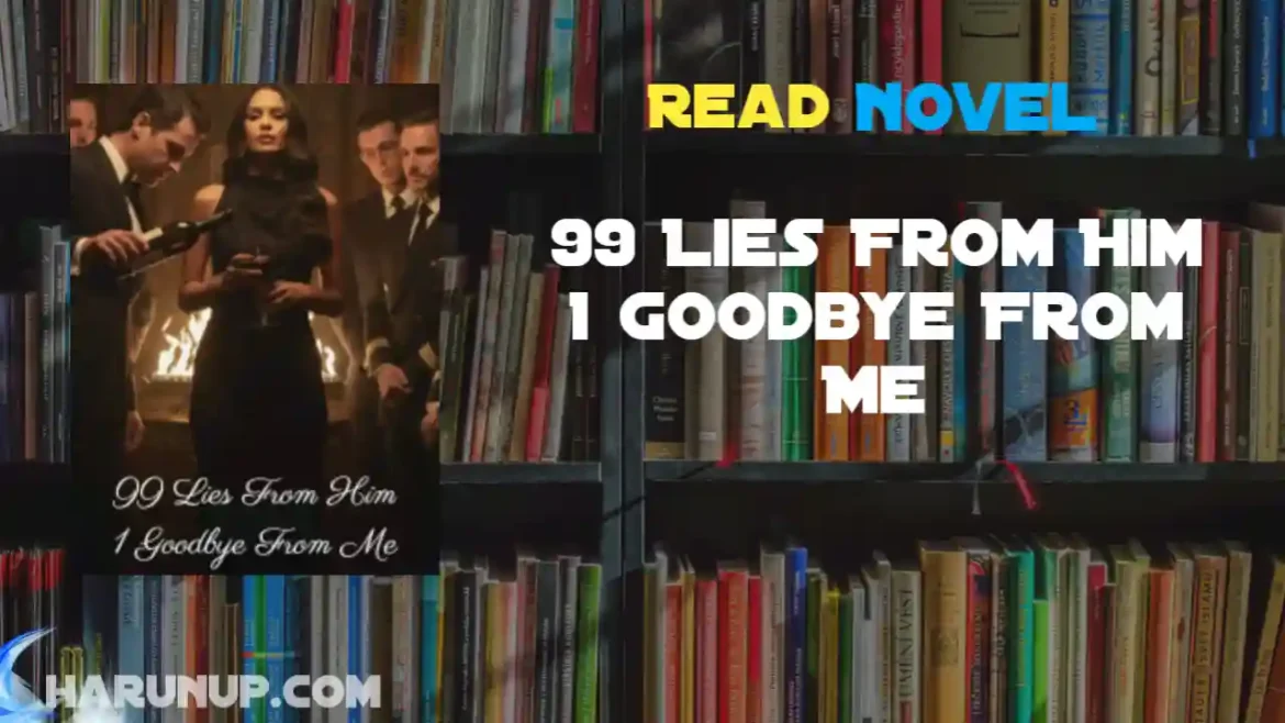99 Lies From Him 1 Goodbye From Me Novel