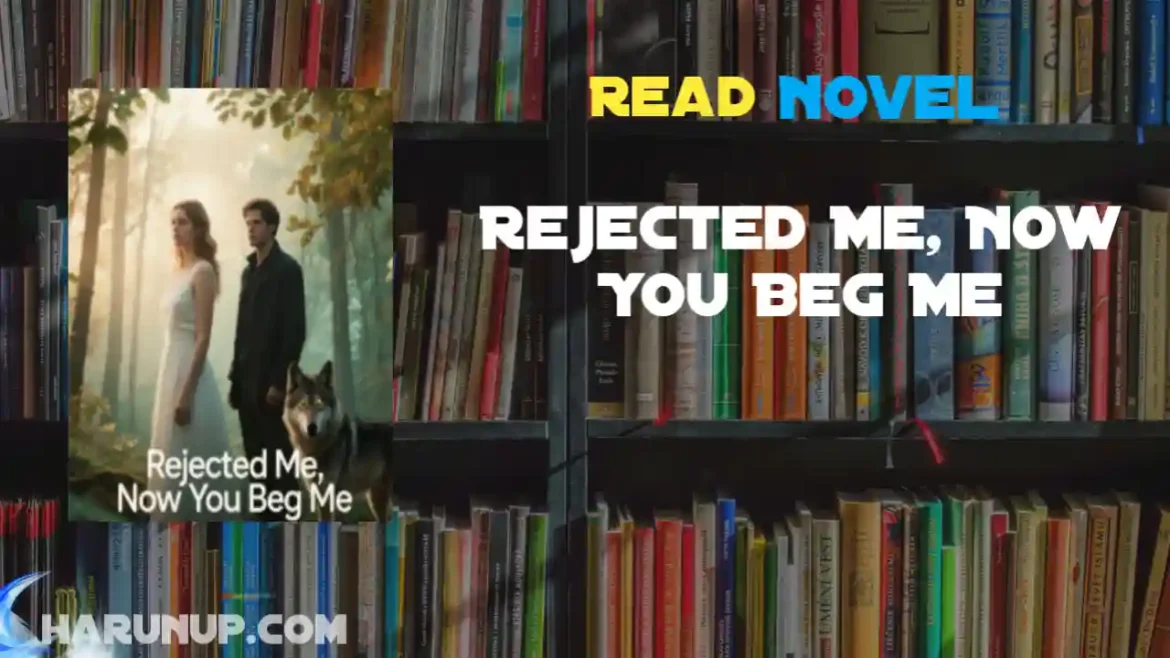 Rejected Me, Now You Beg Me Novel