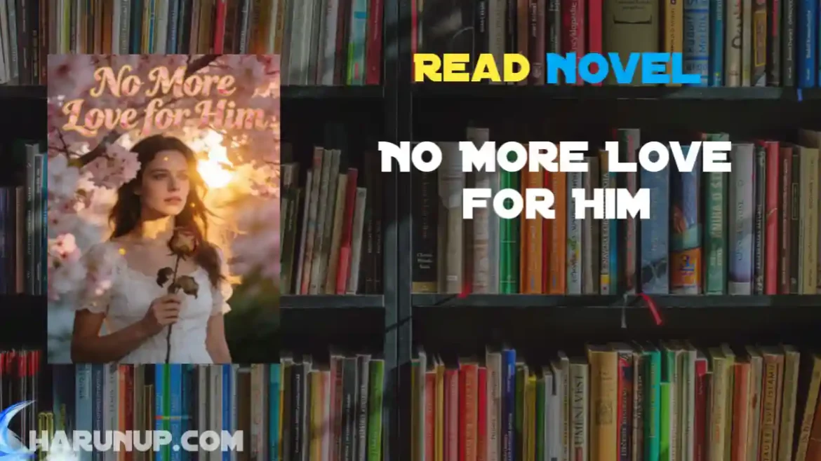 No More Love for Him Novel