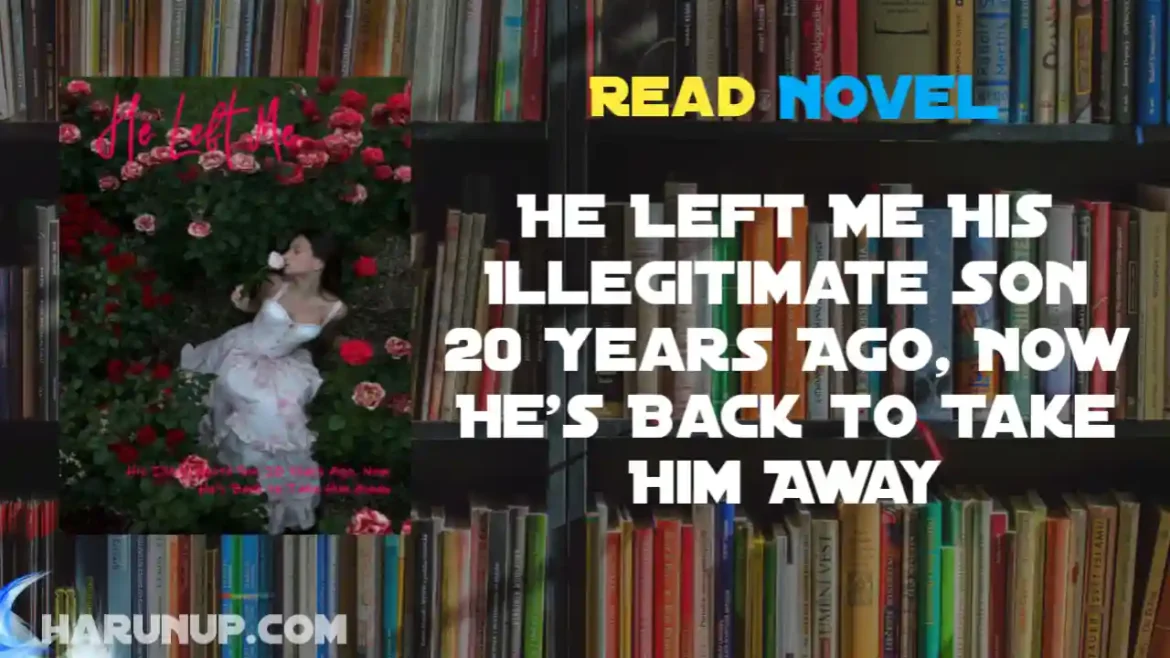 He Left Me His Illegitimate Son 20 Years Ago, Now He's Back to Take Him Away Novel