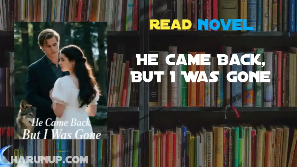 He Came Back, But I Was Gone Novel