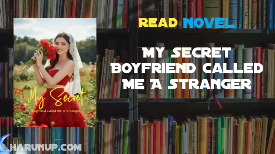 My Secret Boyfriend Called Me A Stranger Novel
